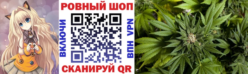  Кокаин Вяземский