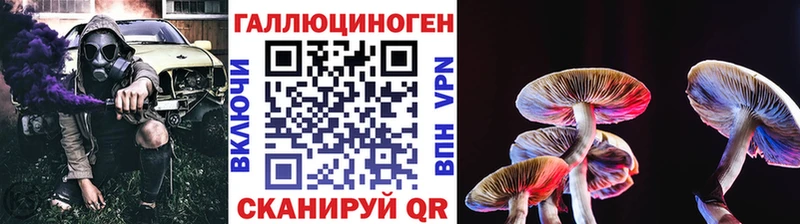 MEGA сайт  Вяземский  Псилоцибиновые грибы мицелий 