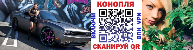 МАРИХУАНА конопля Вяземский